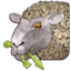 USBleat